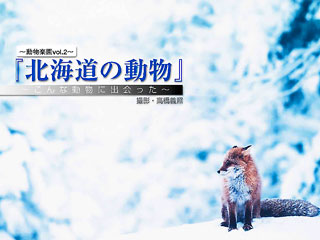 Title details for Wild Animal in Hokkaido by Yoshiteru Takahashi - Available